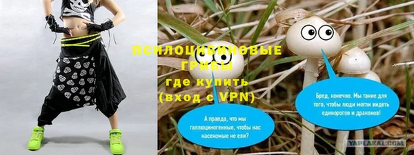 сатива Алексин