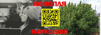 стафф Лесосибирск