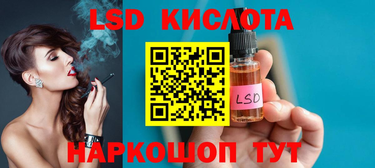 Псилоцибиновые грибы Сосновый Бор