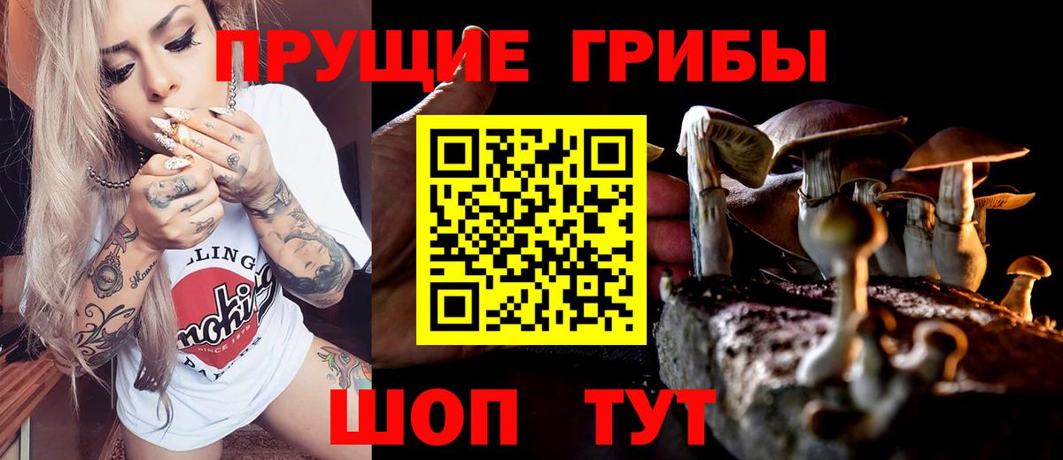 Галлюциногенные грибы мухоморы Сосновый Бор